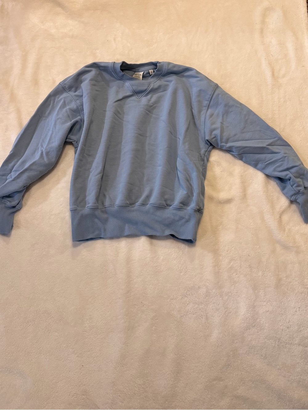 Aritzia Light Blue Crewneck Sweatshirt